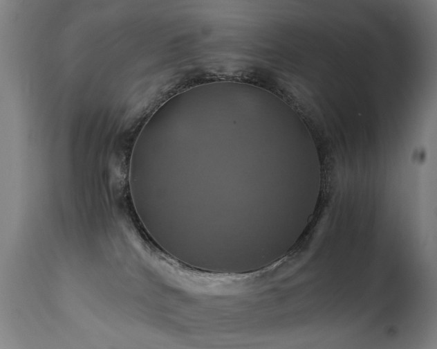 X0000110990040200906191437