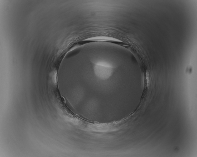X0000110990041200906191437