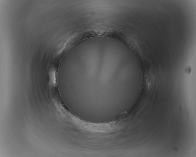 X0000110990042200906191437