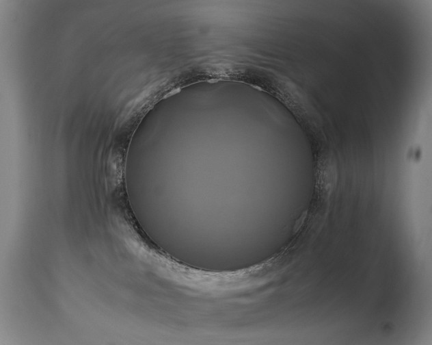 X0000110990043200906191437