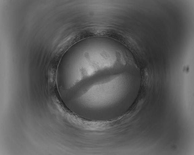 X0000110990044200906191437
