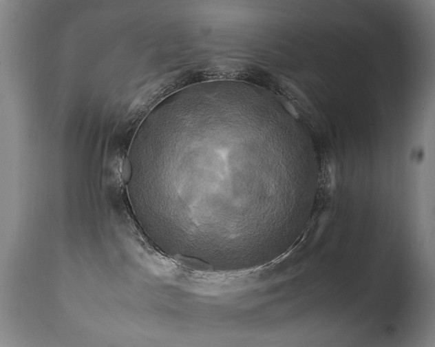 X0000110990045200906191437