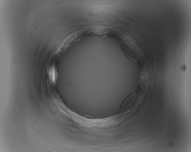 X0000110990046200906191437