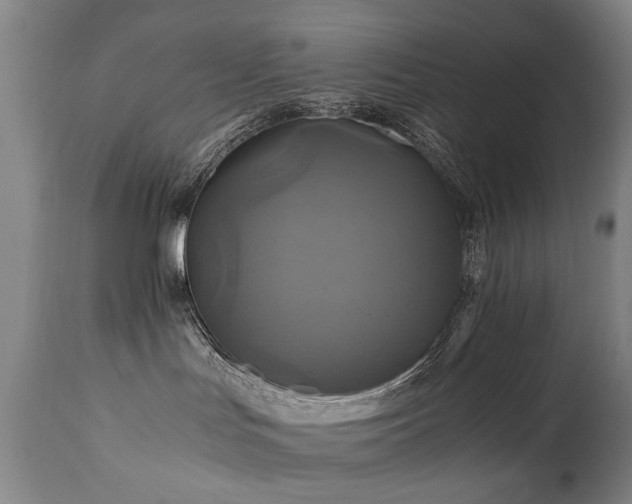 X0000110990047200906191437