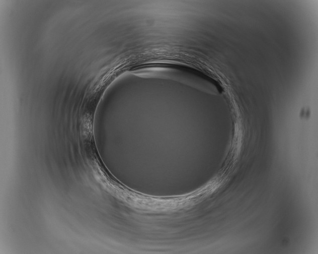 X0000110990048200906191437