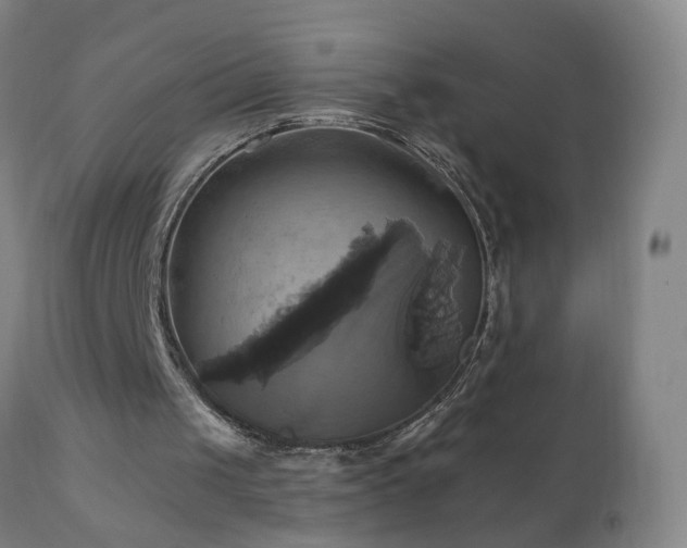 X0000110990049200906191436