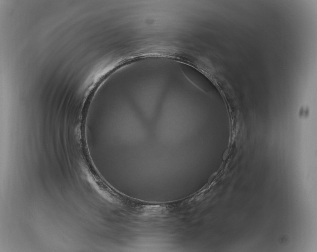 X0000110990050200906191436