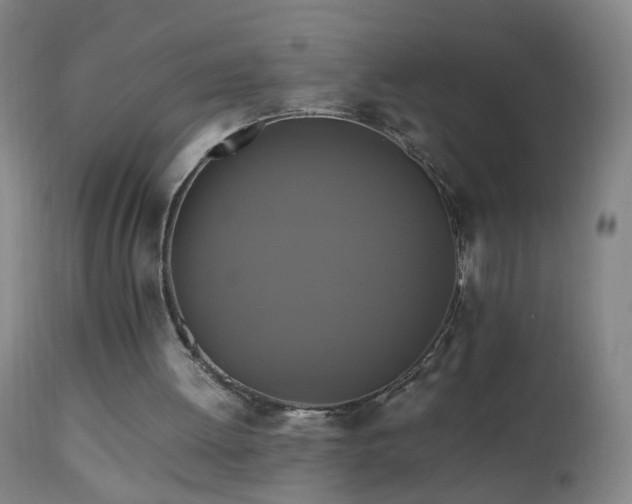 X0000110990052200906191436