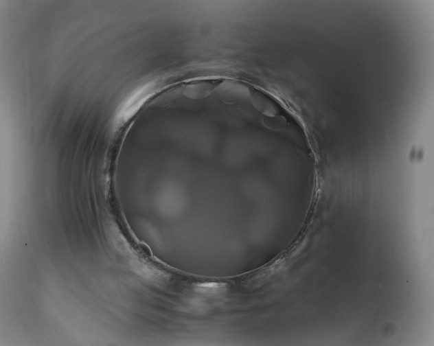 X0000110990053200906191436