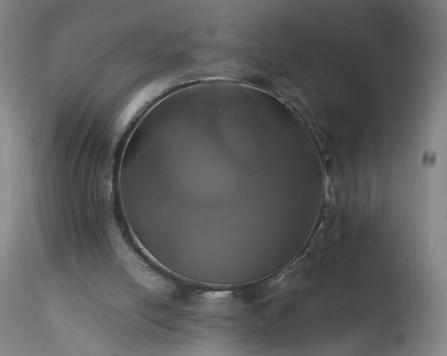 X0000110990054200906191436
