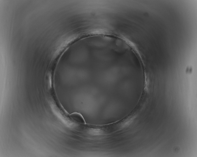 X0000110990061200906191436