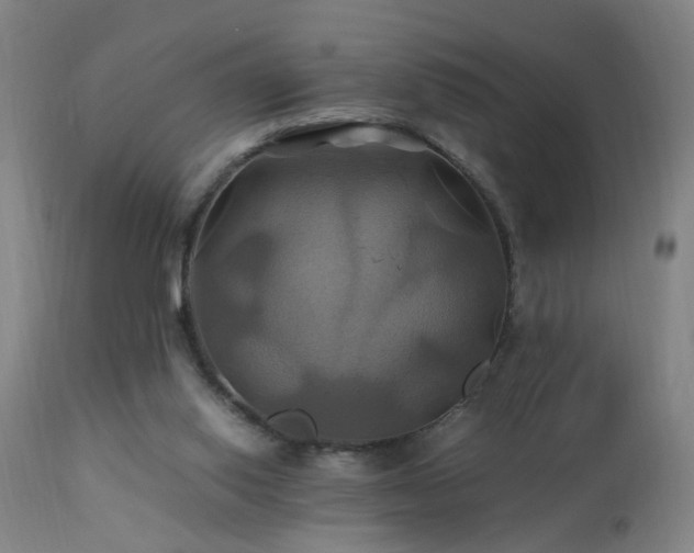 X0000110990062200906191436