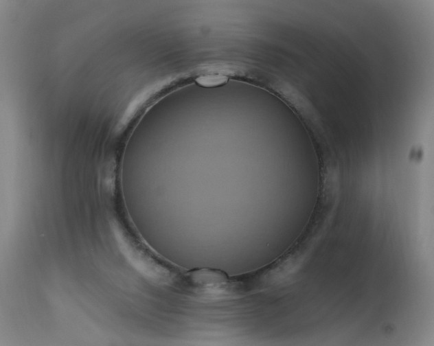 X0000110990064200906191437
