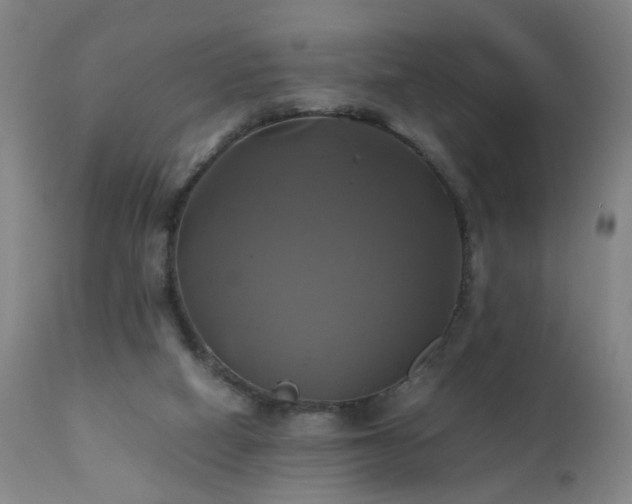 X0000110990066200906191437