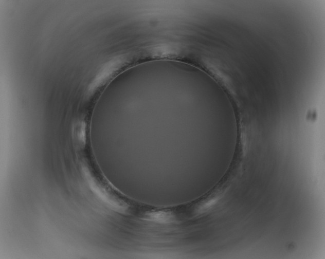 X0000110990067200906191437