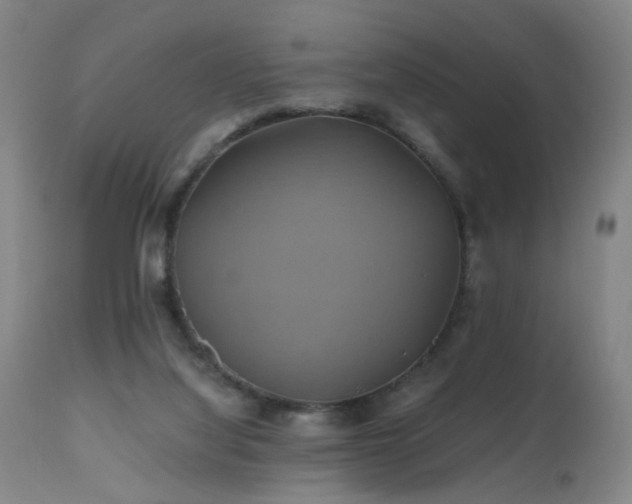 X0000110990068200906191437