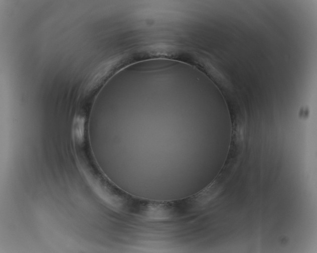 X0000110990070200906191437