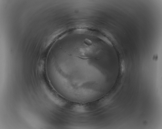 X0000110990071200906191437