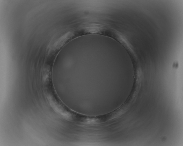 X0000110990073200906191437