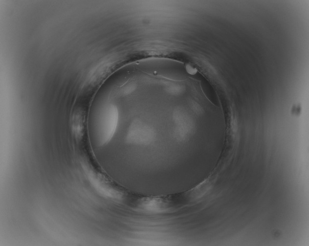 X0000110990074200906191437