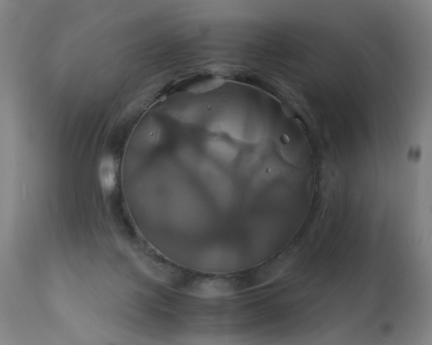 X0000110990075200906191437
