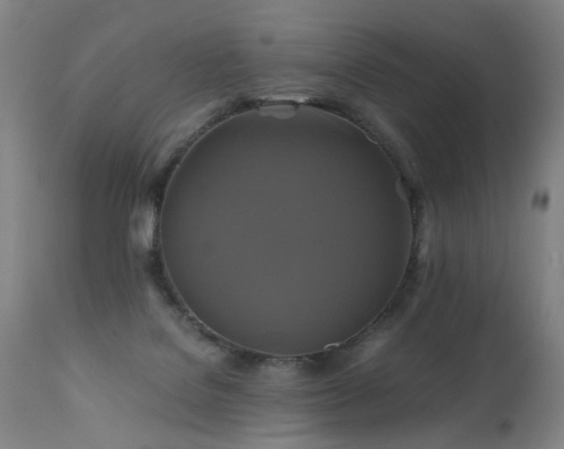 X0000110990076200906191437