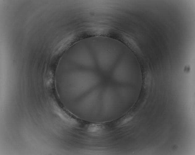 X0000110990077200906191437