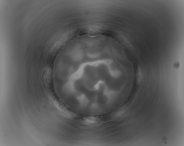 X0000110990079200906191437