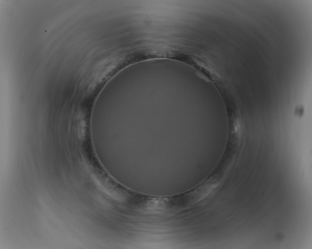 X0000110990080200906191437