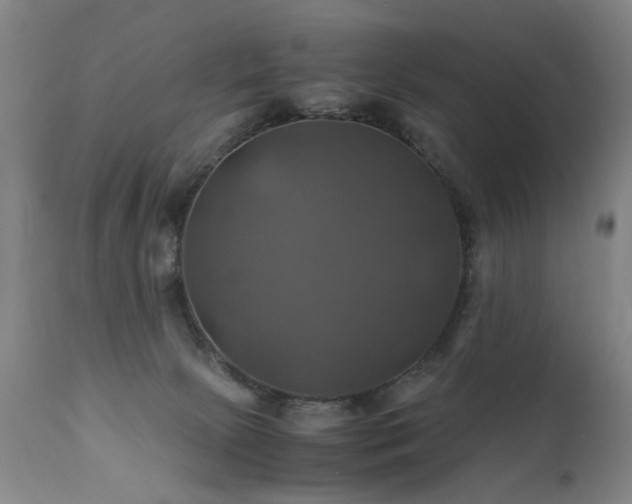 X0000110990081200906191437