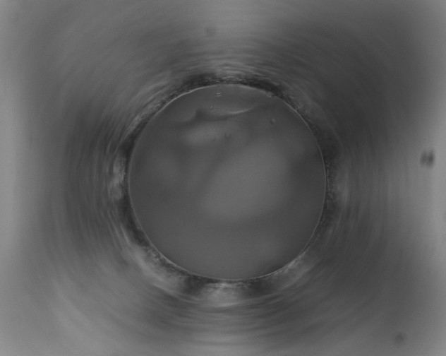 X0000110990082200906191437