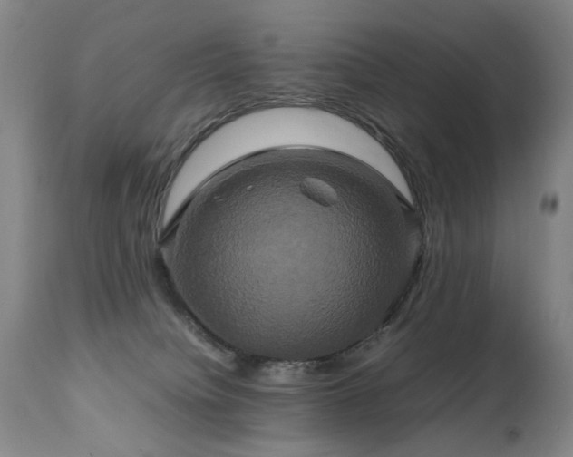 X0000110990084200906191437