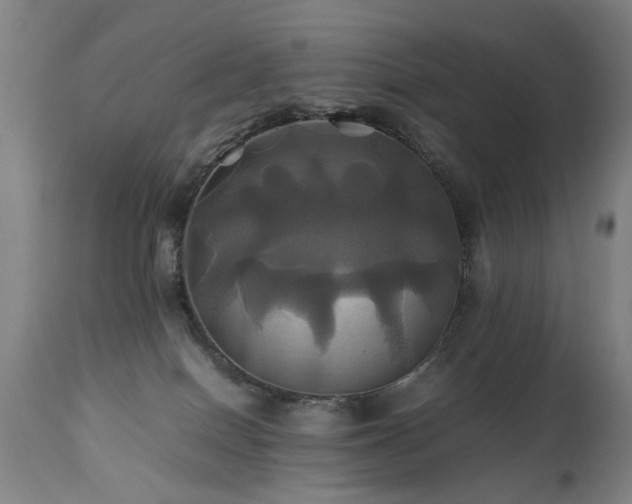 X0000110990086200906191437