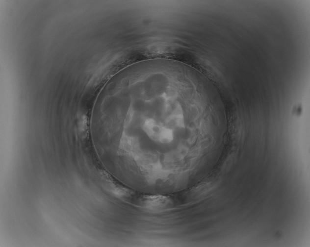 X0000110990087200906191437