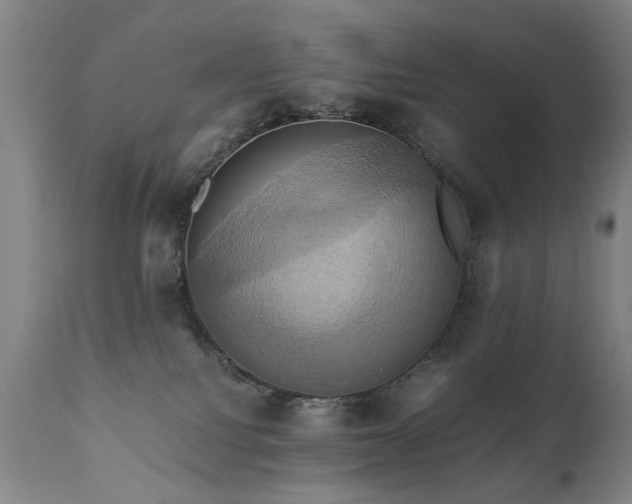 X0000110990088200906191437