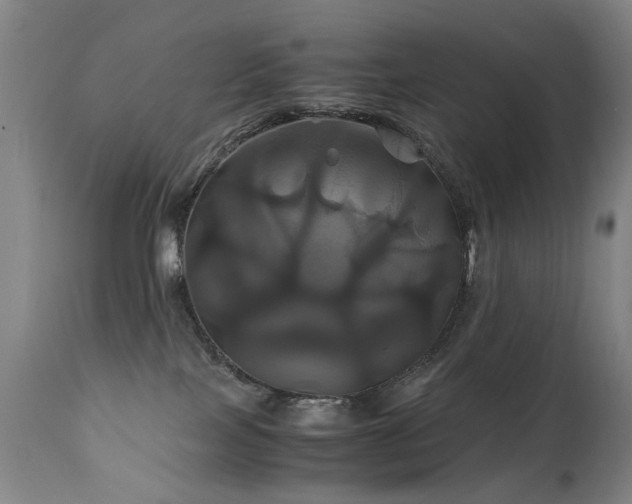X0000110990089200906191437