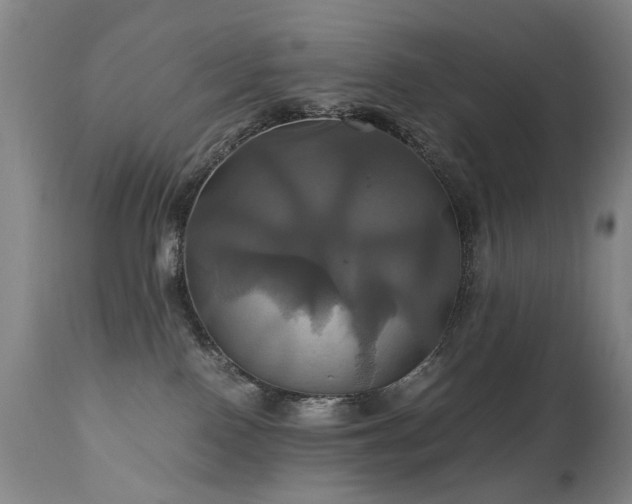 X0000110990090200906191437
