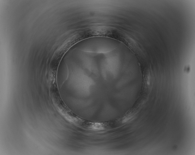 X0000110990091200906191437