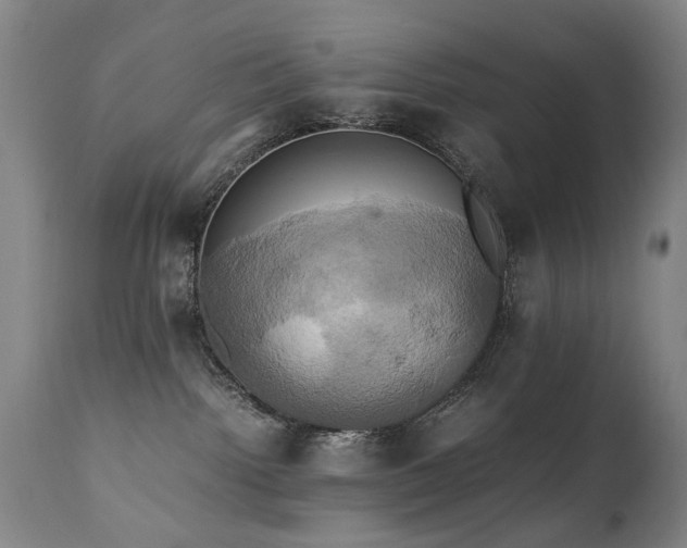 X0000110990092200906191437