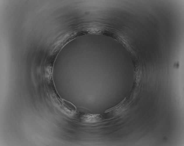 X0000110990093200906191437
