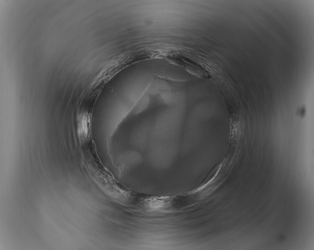 X0000110990094200906191437