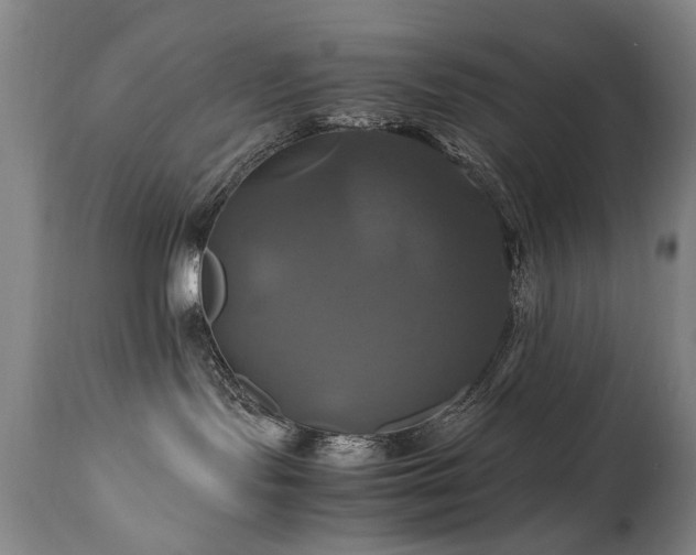 X0000110990095200906191437
