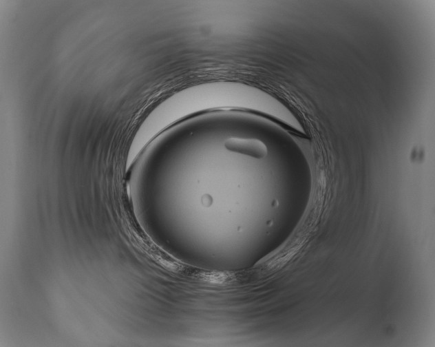 X0000110990096200906191437