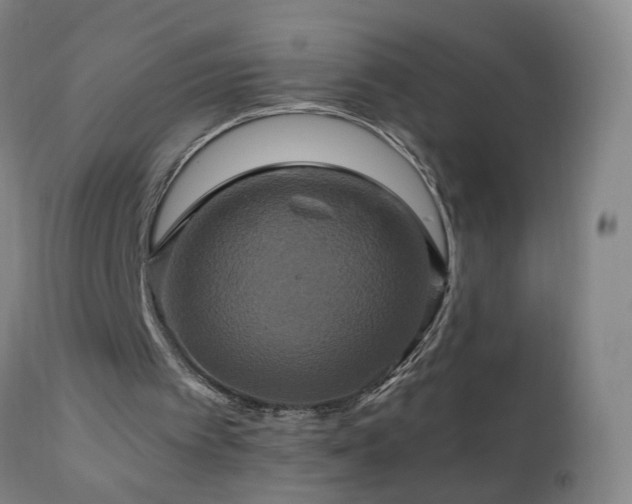 X0000110990097200906191436