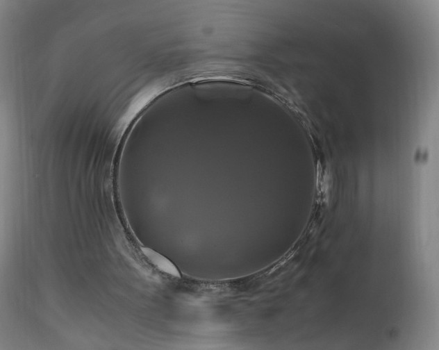 X0000110990099200906191436