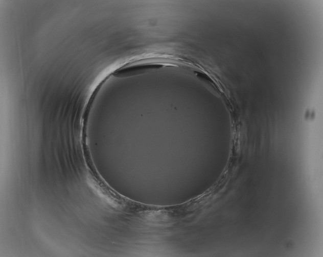 X0000110990100200906191436