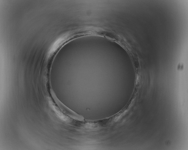 X0000110990101200906191436