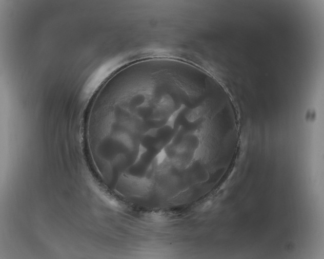 X0000110990103200906191436