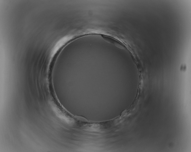 X0000110990104200906191436