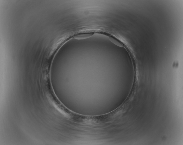 X0000110990105200906191436